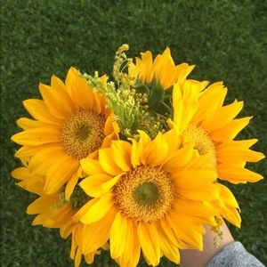 Meet your Posher, Kayla